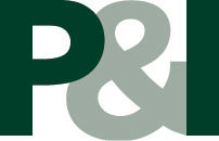 P&I GmbH