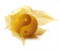 Feng Shui Beratung & Entspannungstraining / Sabine Rueland