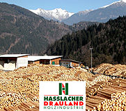 Hasslacher Drauland Holzindustrie GmbH