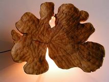 Lichtobjekt Holz Kunst woodart wood art Holzkunst Unikat Skulptur