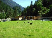 Hundepension Falkner