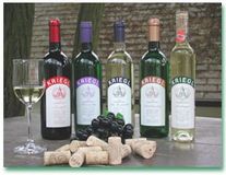 Urlaubs und Gourmetweingut Weinfielfalt