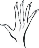 Alphanails