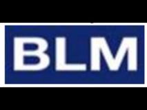 BLM Dr. Bernd Liebmann Marketing und Unternehmensberatung