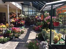 Blumen Augustyn Nfg. Gabriele Freisinger