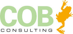 COB Consulting, Collaboration, Wien