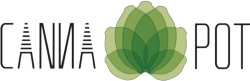 Cannapot Hanfsamen Cannabissamen Hanfshop