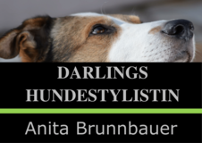 Darlings-Hundestylistin Anita Brunnbauer
Beste Fellpflege im Salon und mobil