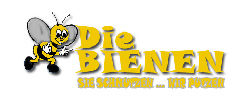 Die Bienen Gebäudereinigung, Reinigung, Gebäudereinigung, Attersee