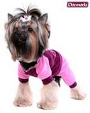 DogModa e.U.