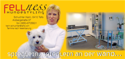 Fellness Hundestyling