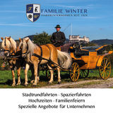 Romanitsche Kutschenfahrt in Salzburg mit 2 PS.