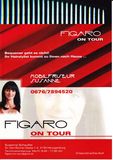 Figaro on Tour, Mobilfriseur Susanne