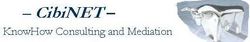 Gerald Cibulka CibiNET KnowHow Consulting and Mediation