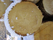 Göttfried OEG
