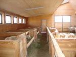 Holzbau, Zimmerei Haid Heinz GmbH Dachstuhl,Beratung-planung,Holzbalkone,Zimmermeister,Aufstockungen,Dachbodenausbau,Schalungen,