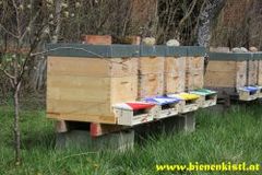 Imkerei Familie Lasser www.bienenkistl.at
Honig, Fruchtsaft, Met, Propolis, Pollen, Schnaps, Dörrzwetschken und Likör, ...
Ve