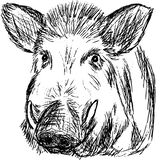 Jagdzubehör Dr. Mair