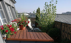 Dachterrasse John Harris Fitness Radisson BLU Palais Hotel Wien