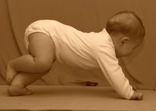 Yoga für Schwangere, Yoga mit Baby, Yoga für Kinder, Wellness, Reiki, TCM für Tiere