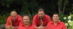 Hochzeitsmusik Tanzmusik Unterhaltungsmusik Band
