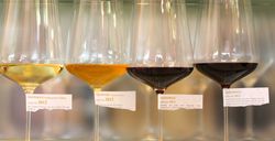 PANNOBILE Weingut Gsellmann Andreas