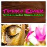 Praxis für systemische Kinesiologie
Tamara Ebner
5541 Altenmarkt
Tel. 0664/402 54 71
kinesiologie@sbg.at