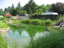 Schwimmteiche, Gartenteiche in allen Größen und Formen,individuelle Ausführung.Schwimmteich oder Gartenteich,verwöhnen Sie sich.