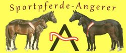 Sportpferde Angerer