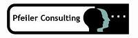 Pfeiler Consulting und Beteiligungs GmbH