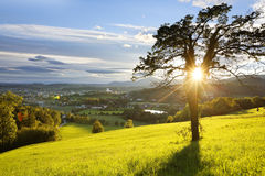 Tourismusverband Weiz
