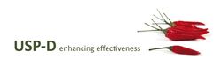 USPD Schulte & Ster Consulting GmbH