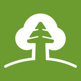 VM Holz GmbH - Timber from Austria