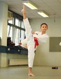 Verein BUSHIDO Kampfkunst Körpertraining