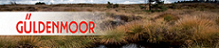 Logo Güldenmoor