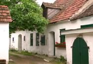 UNESCO-Weltkulturerbe Weingut und Ferienwohnungen Kieslinghof Burgenländischer Streckhof wo Weinbau von Fam. Elvira u. Hermann K