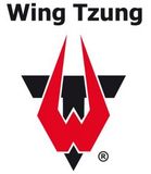 WT Academy Wing Tzung (WT), Esrima, Qi Gong, BJJ