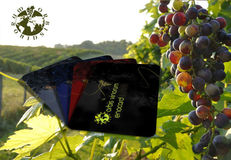 orbis vinorum GmbH - Premiumweine, Topweine, prämierte Spitzenweine
