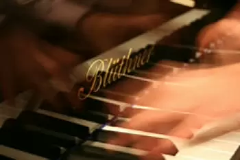 Erleben Sie die Faszination Klang in einem der schönsten Klaviergeschäfte Wiens