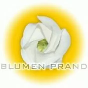 Blumen Prand, Apetlonerstraße 10, 7152 Pamhagen, Tel.: 02174/2233