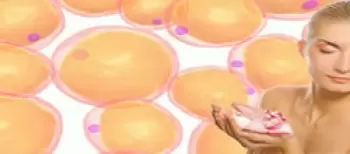 Brustvergrößerung Stammzellen Ordination Dr. Edvin Turkof