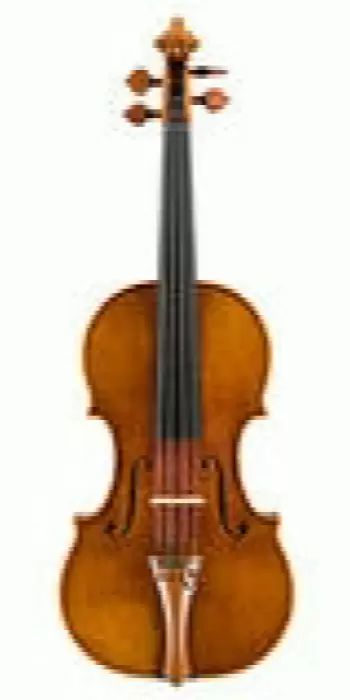 Violine nach Guarneri del Gesù