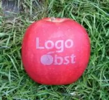Logo-Obst.com