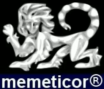 memeticor® Unternehmensberatung und Informationstechnologie
