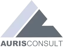 AURIS IT Consult GmbH