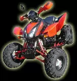 RP-MOTO Günstige Roller, Scooter, Quad, Motorräder, Motocross ab 50ccm