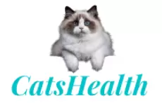 CatsHealth Gutes Nassfutter für Katzen
