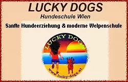 Hundeschule LUCKY DOGS Wien