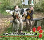 Leben mit Hund, Hundeschule in Vorarlberg. Welpenprägung, Junghunde, Nasenarbeit, Fährten, Dummytraining, Verhaltenstherapie.
