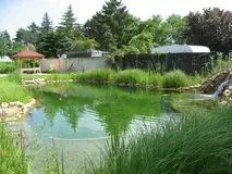 Biotope,Schwimmteiche, Gartenteiche in allen Größen und Formen,individuelle Ausführung.Schwimmteich oder Gartenteich,verwöhnen S